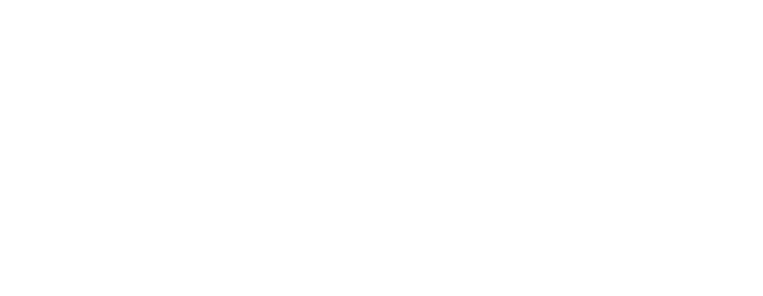 Webinare_icon