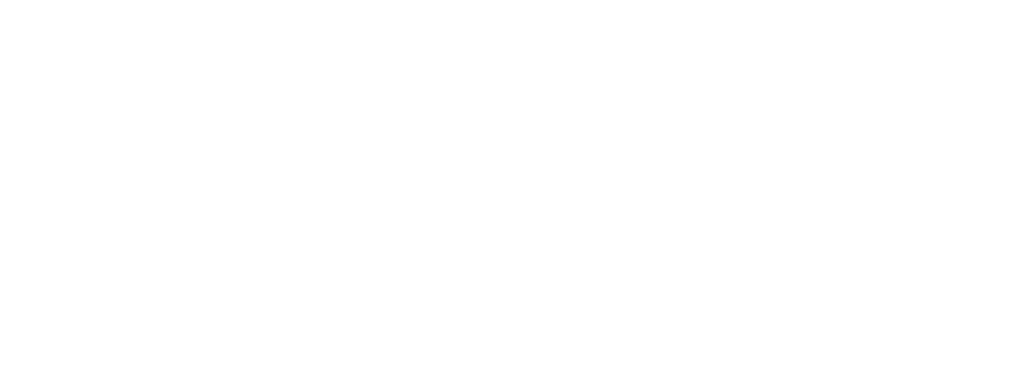 caro_icon